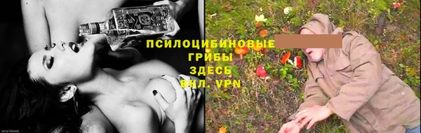 ALPHA PVP Алексеевка