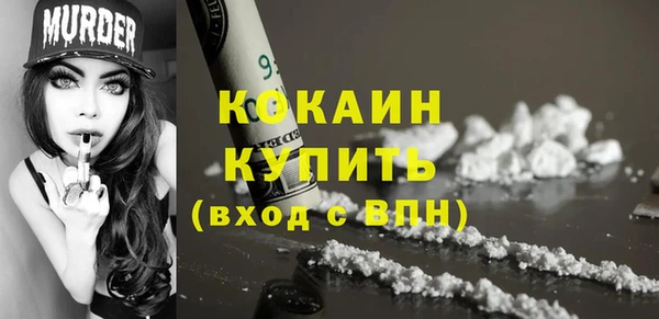 прущие грибы Горняк