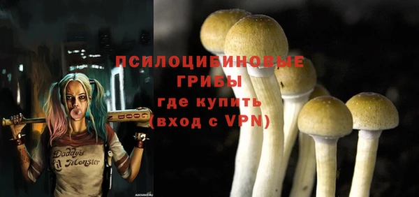 ALPHA PVP Алексеевка