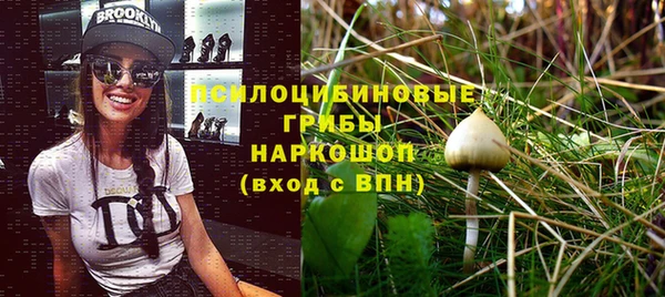 ALPHA PVP Алексеевка