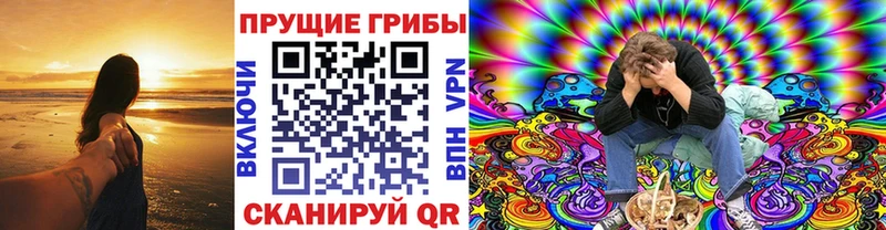 Галлюциногенные грибы Psilocybe  наркота  Черкесск 
