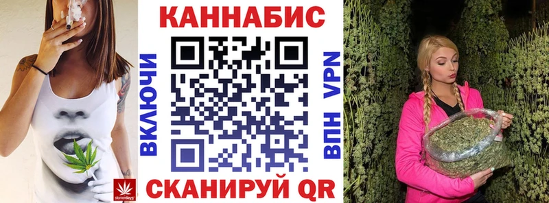 Каннабис OG Kush  цены   Черкесск 